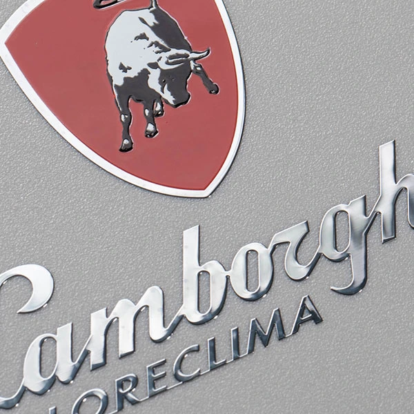 Logotipo resistente ao calor brilhante de níquel